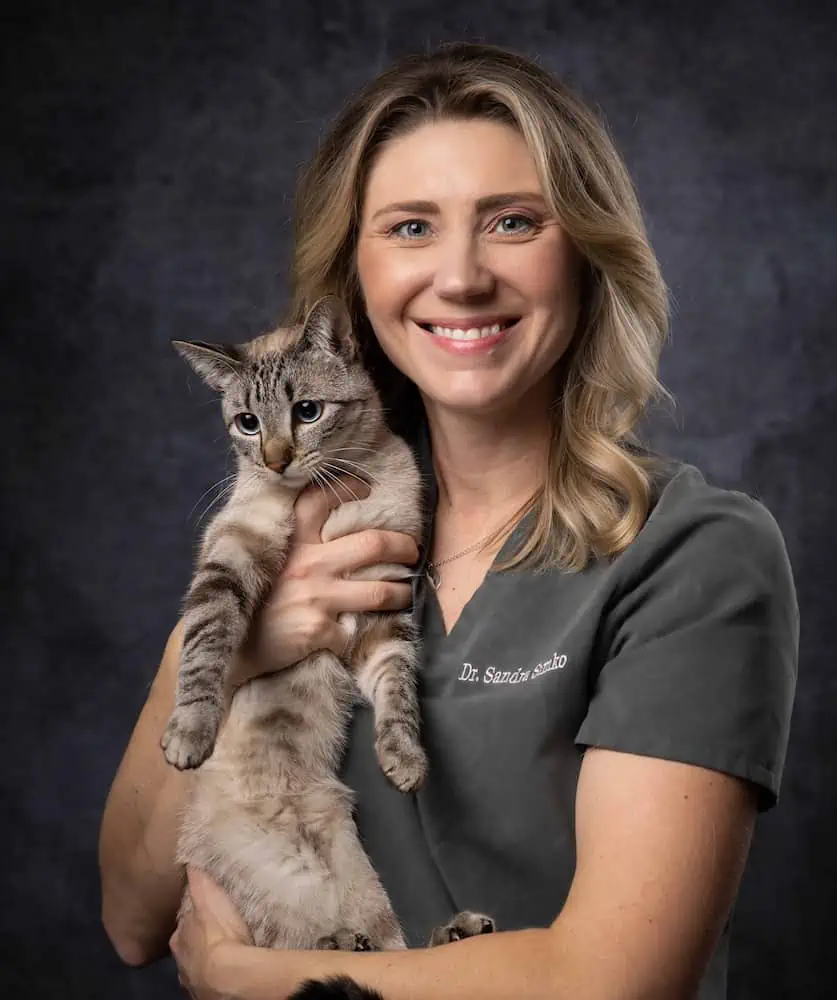 Dr Sandra At Home Pet Euthanasia with cat