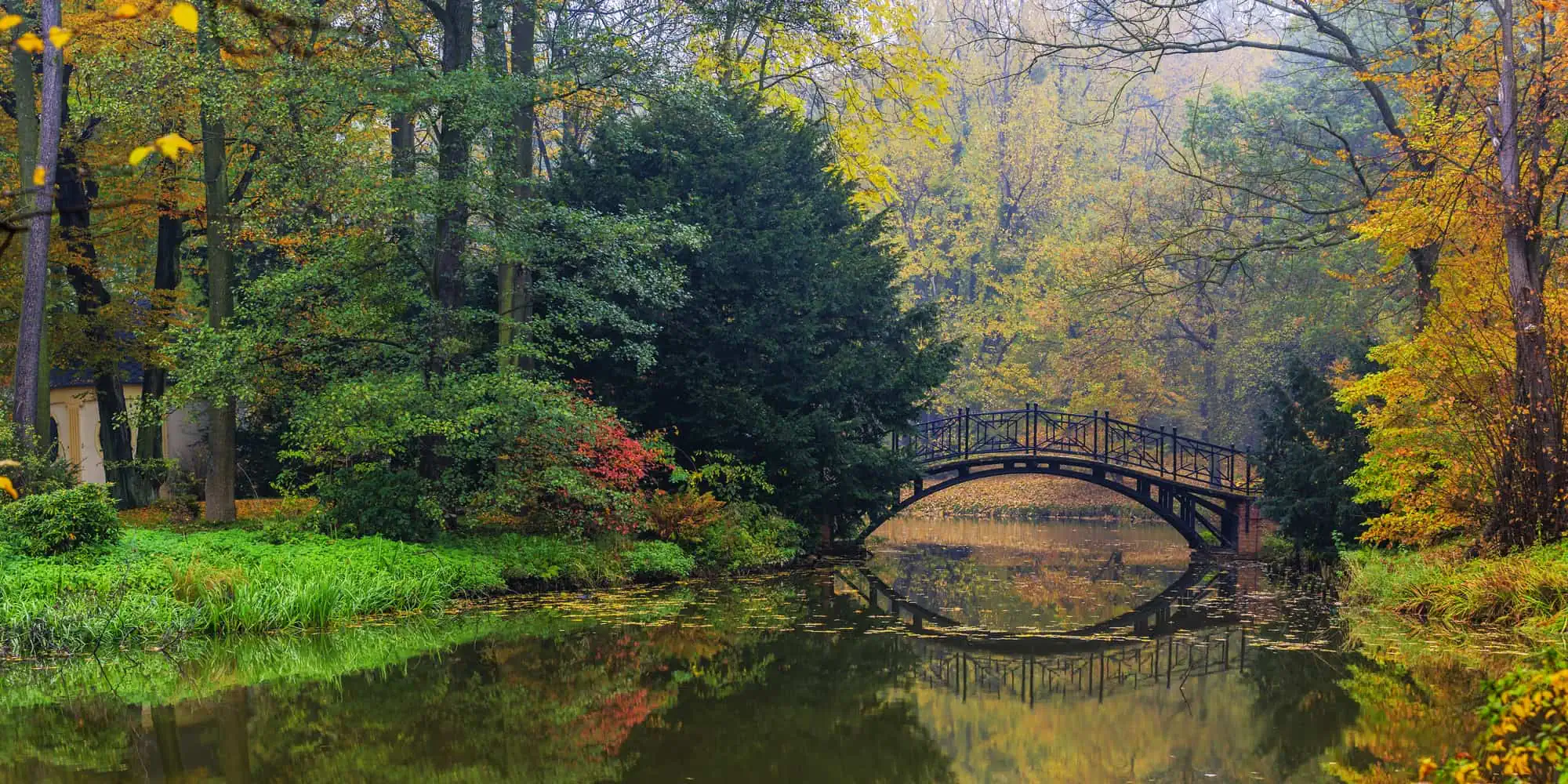 Beautiful autumn forest