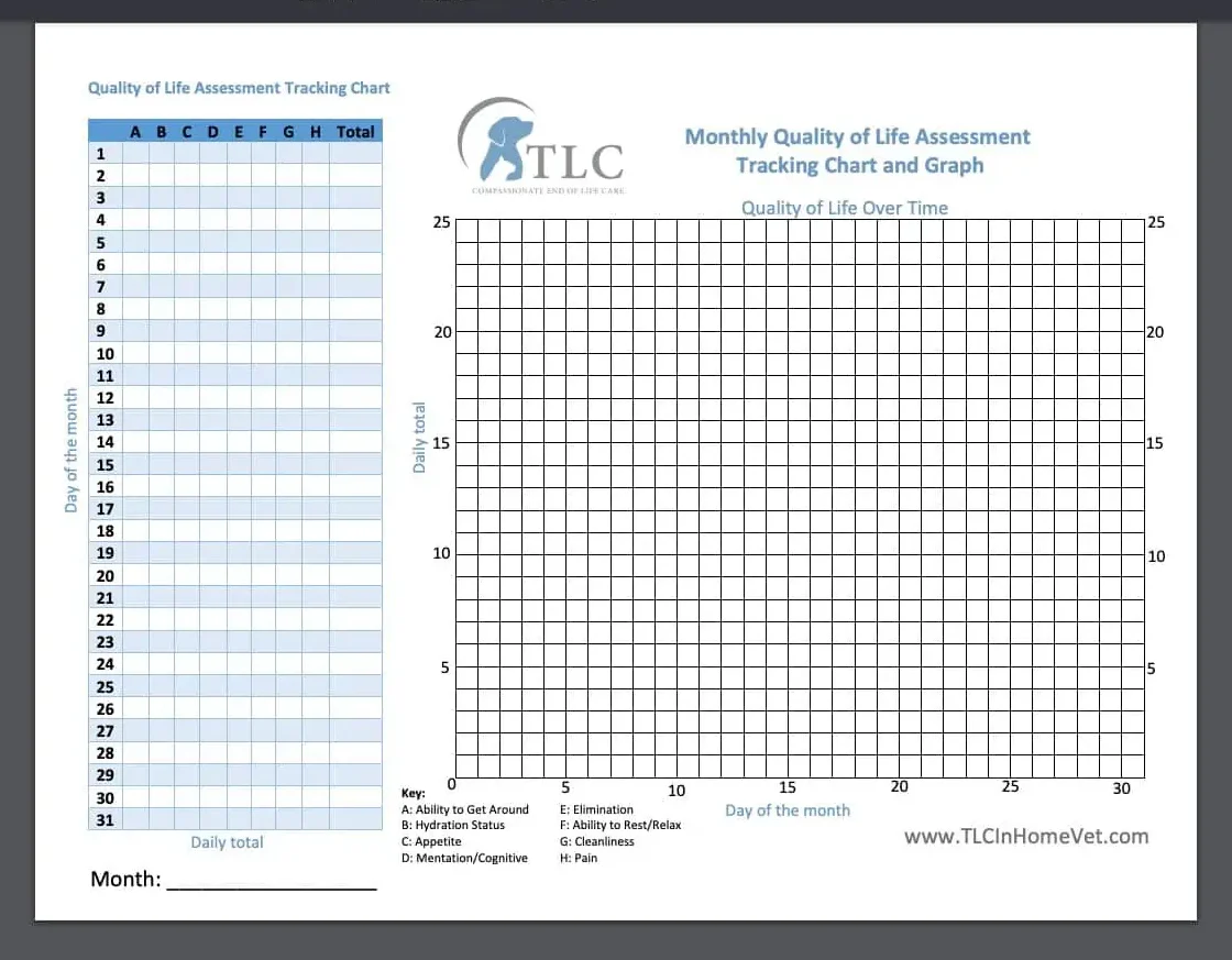 Monthly Quality of Life Tracker