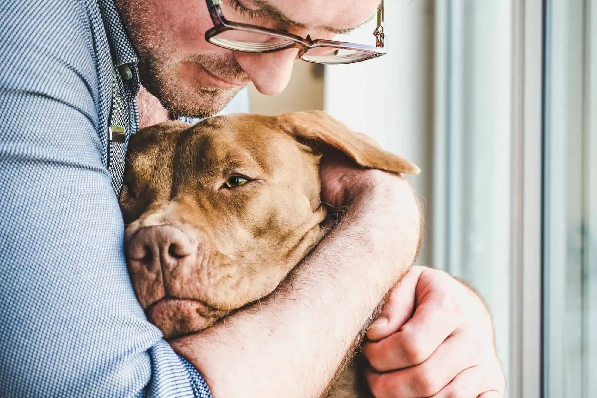 Pet Euthanasia Dog being hugged